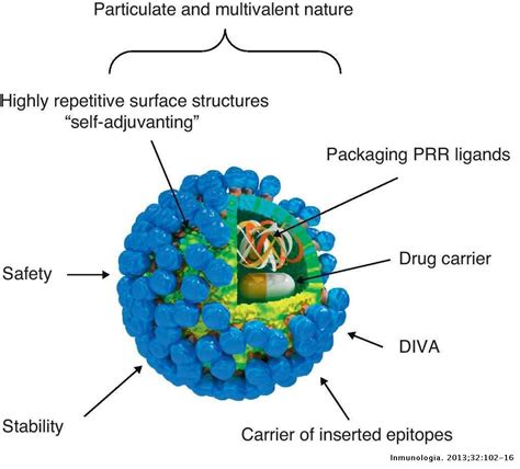 vlp|Virus